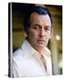 David Janssen-null-Stretched Canvas