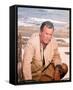 David Janssen-null-Framed Stretched Canvas