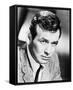 David Janssen-null-Framed Stretched Canvas