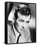 David Janssen-null-Framed Stretched Canvas