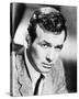 David Janssen-null-Stretched Canvas