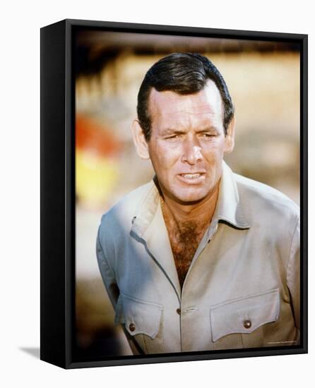 David Janssen-null-Framed Stretched Canvas