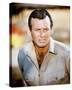 David Janssen-null-Stretched Canvas