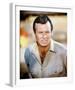 David Janssen-null-Framed Photo