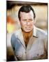 David Janssen-null-Mounted Photo