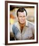 David Janssen-null-Framed Photo