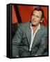 David Janssen-null-Framed Stretched Canvas