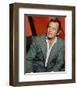 David Janssen-null-Framed Photo