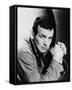 David Janssen-null-Framed Stretched Canvas