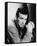 David Janssen-null-Framed Stretched Canvas