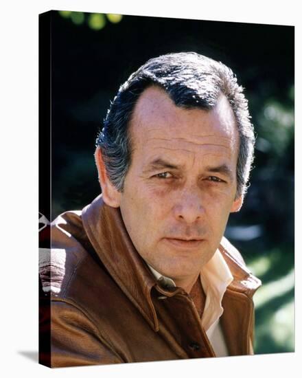 David Janssen-null-Stretched Canvas