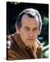 David Janssen-null-Stretched Canvas