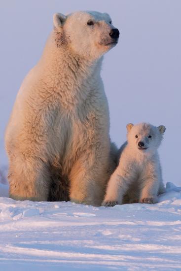 Premium Photographic Print, , large