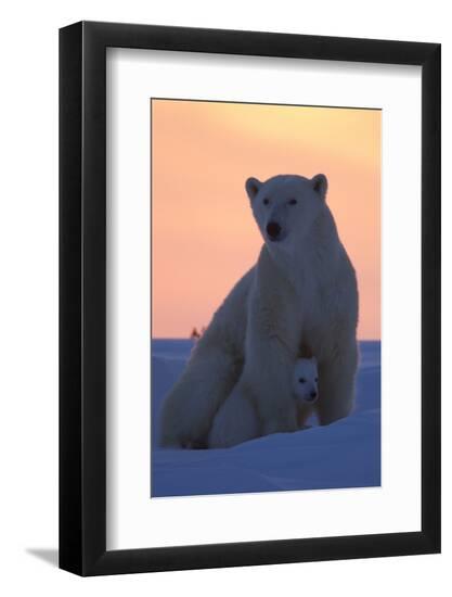 Premium Photographic Print, , large
