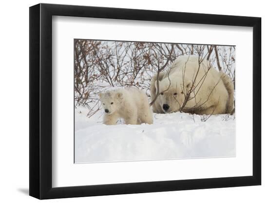 Premium Photographic Print, , large