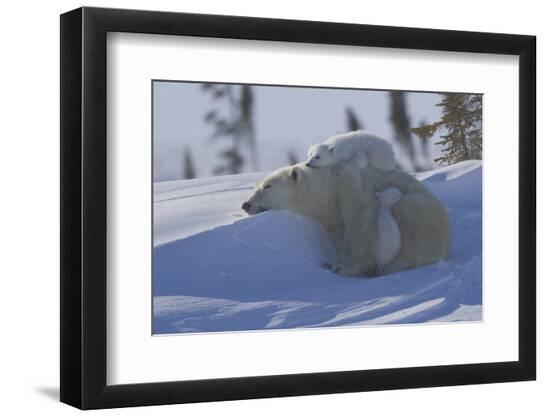 Premium Photographic Print, , large
