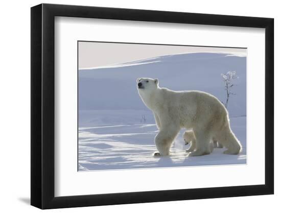 Premium Photographic Print, , large