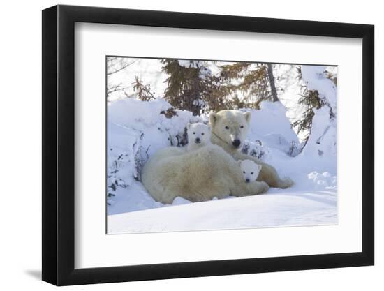 Premium Photographic Print, , large
