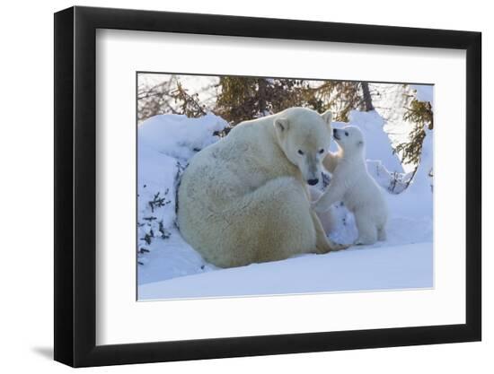 Premium Photographic Print, , large