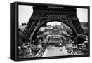Framed Canvas