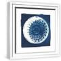 White Frame