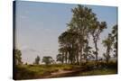 Stretched Canvas