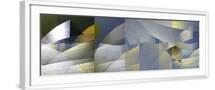 White Frame