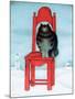 Wood Mount