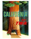 California Redwoods - TWA (Trans World Airlines)-David Klein-Giclee Print