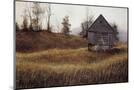 Wood Mount