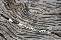 Wood Railroad Tie Pebbles-David Kozlowski-Laminated Photographic Print