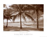 Paradise Lagoon-David L^ Kluver-Art Print