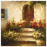 Rustic Doorway II-David Lakewood-Laminated Art Print