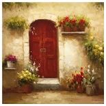 Rustic Doorway III-David Lakewood-Art Print