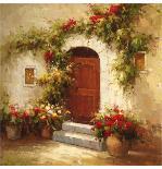 Rustic Doorway III-David Lakewood-Art Print