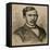 David Livingstone (1813-1873)-null-Framed Stretched Canvas