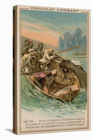 David Livingstone's Boat Being Attacked by a Hippopotamus on the Orange River, Africa, 1867-1873-null-Stretched Canvas