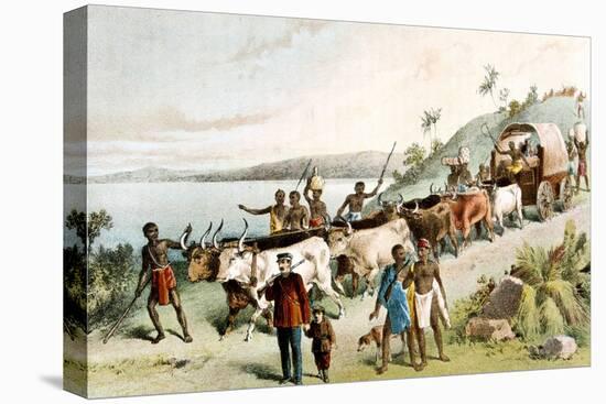 David Livingstone, Scottish Missionary and African Explorer, 1849-null-Stretched Canvas