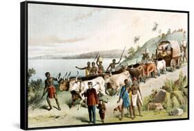 David Livingstone, Scottish Missionary and African Explorer, 1849-null-Framed Stretched Canvas