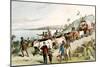 David Livingstone, Scottish Missionary and African Explorer, 1849-null-Mounted Giclee Print