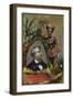 David Livingstone, Scottish Missionary and Explorer-null-Framed Giclee Print