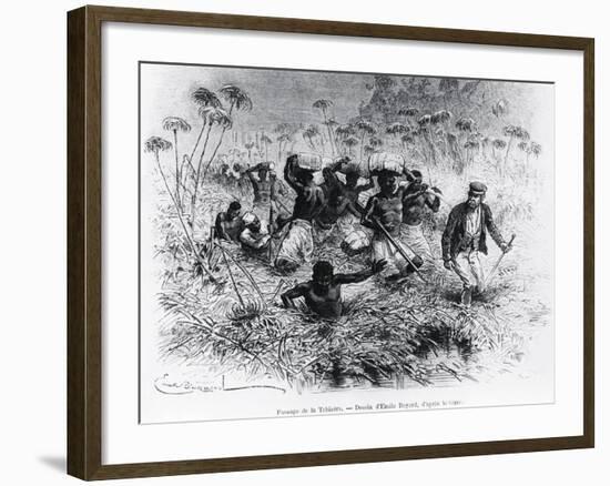 David Livingstone-null-Framed Giclee Print