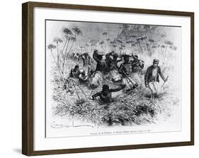 David Livingstone-null-Framed Giclee Print