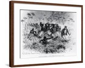 David Livingstone-null-Framed Giclee Print