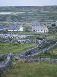 Tory Island, County Donegal, Ulster, Eire (Republic of Ireland)-David Lomax-Photographic Print