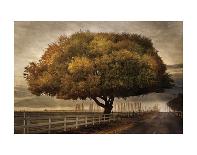 Yellow Tree & Teasel-David Lorenz Winston-Art Print