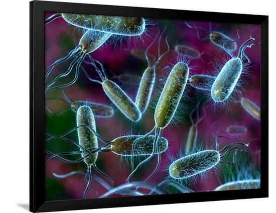 Photographic Print, , large