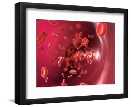 Premium Photographic Print, , large