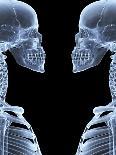 Skeleton From Above, X-ray Artwork-David Mack-Photographic Print