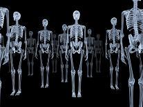 Skeletons, X-ray Artwork-David Mack-Photographic Print